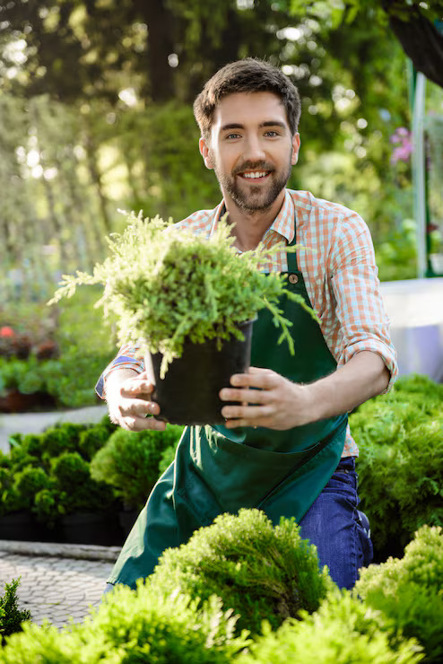 A landscape designer tending a garden